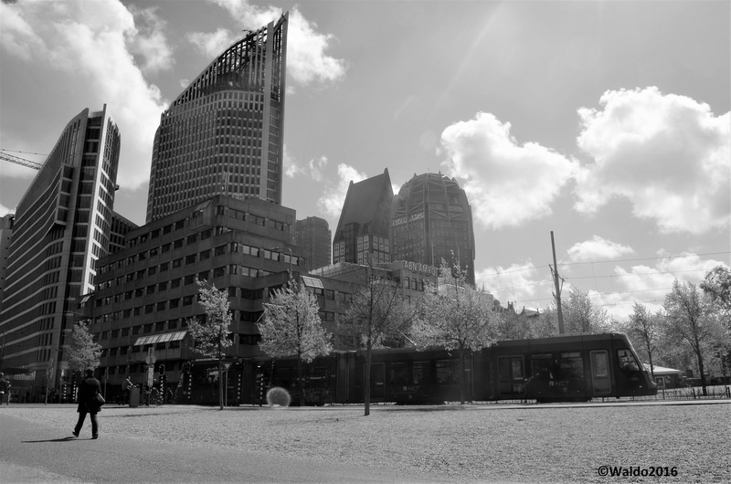 's Gravenhage