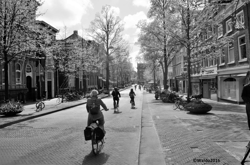's Gravenhage