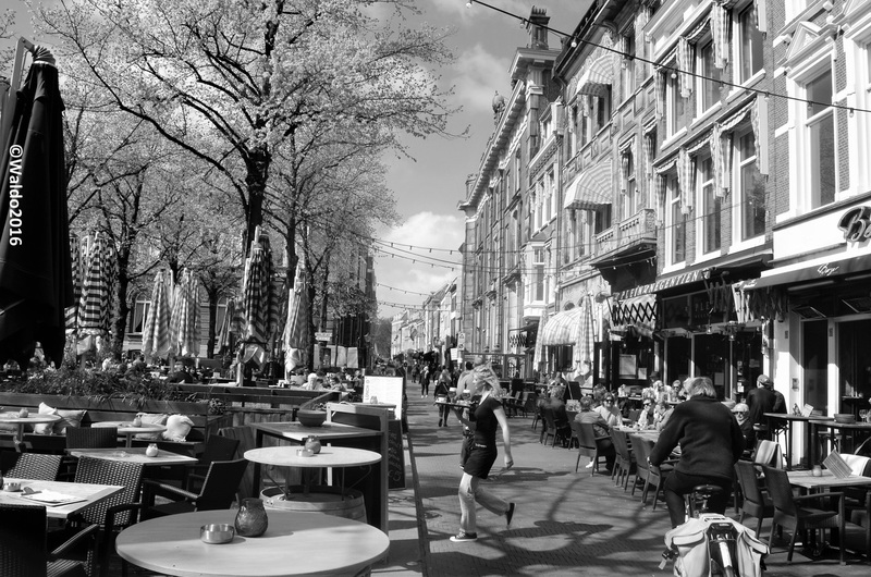 's Gravenhage