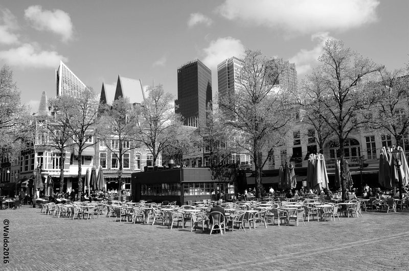 's Gravenhage