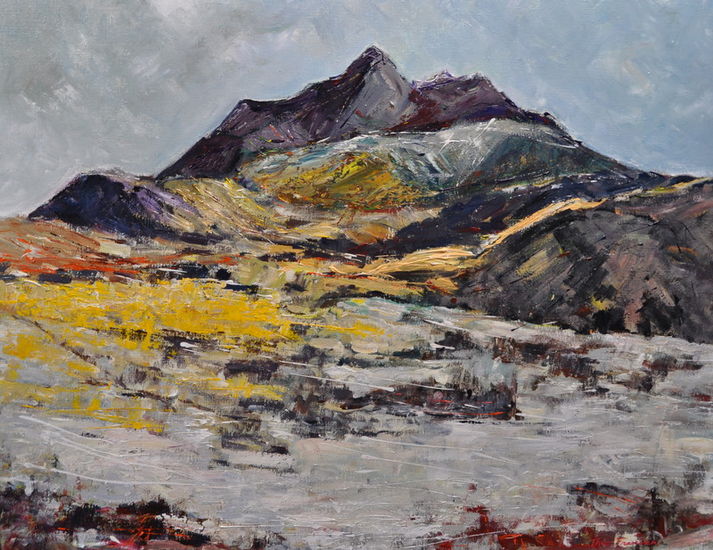 Schotland 'The Cullin Hills' eiland Sky