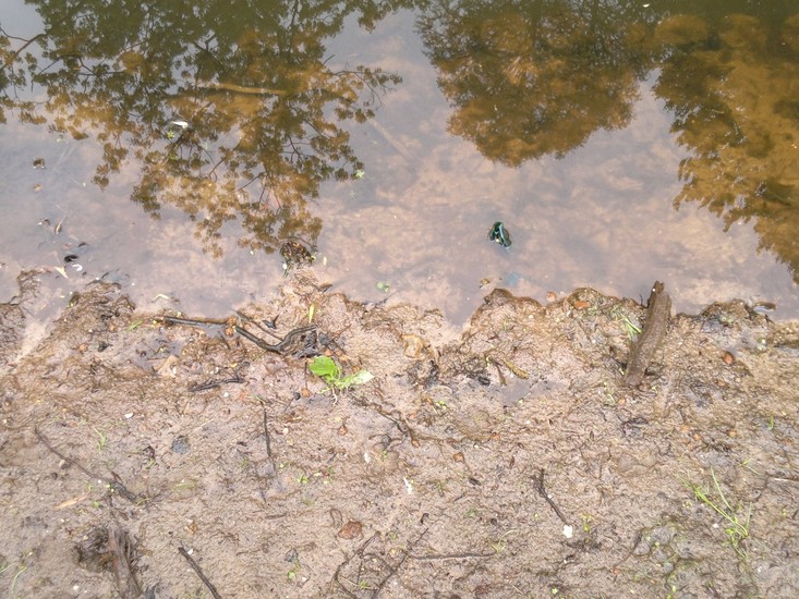 Voorjaar in Amersfoort-2