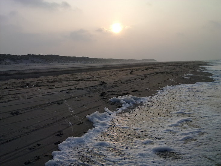 Voorjaar op Vlieland-1