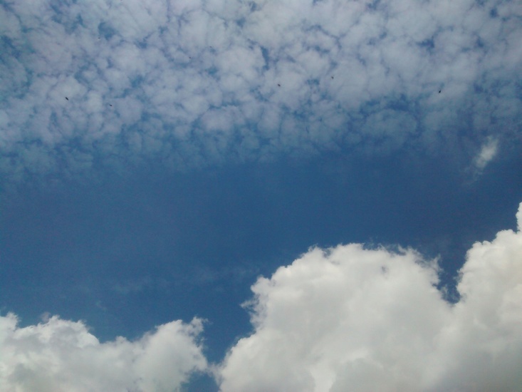 Zomer in Amersfoort-1