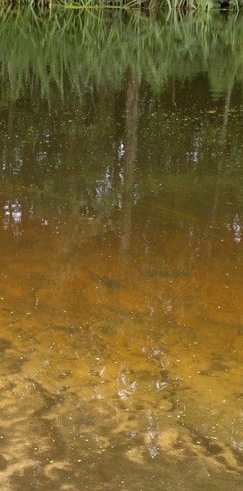 Herfst in Amersfoort-1