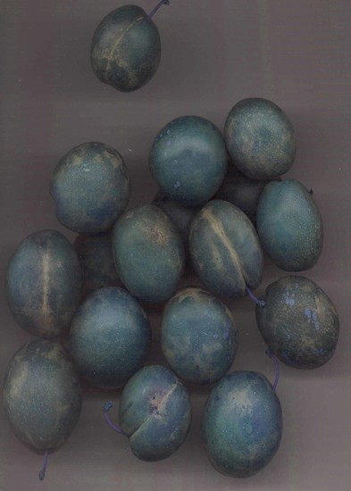 Herfst in Amersfoort-3