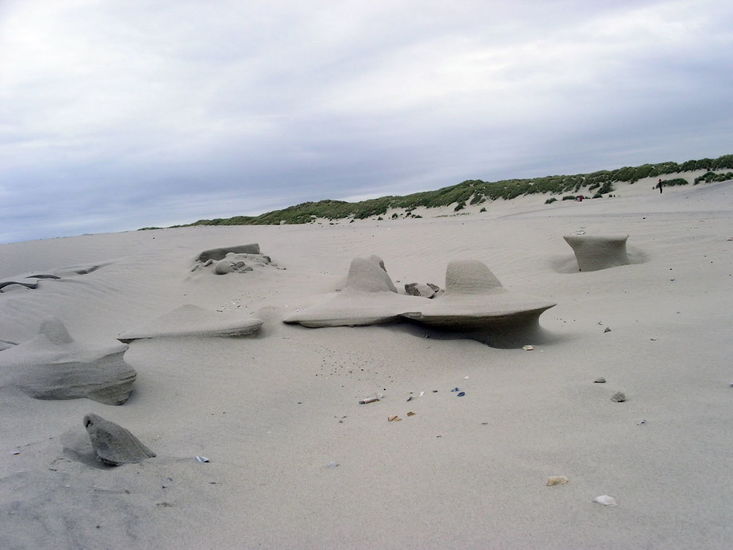 Zomer op Terschelling