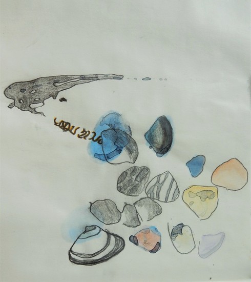 waar komen ze vandaan?