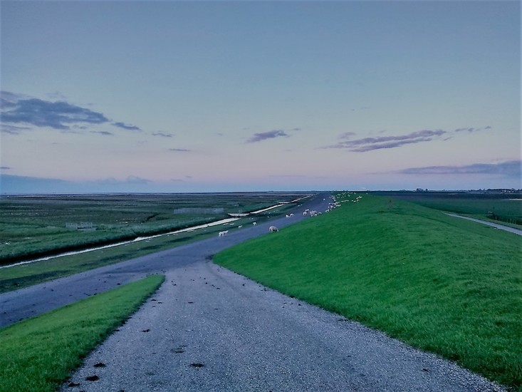 Waddendijk-2