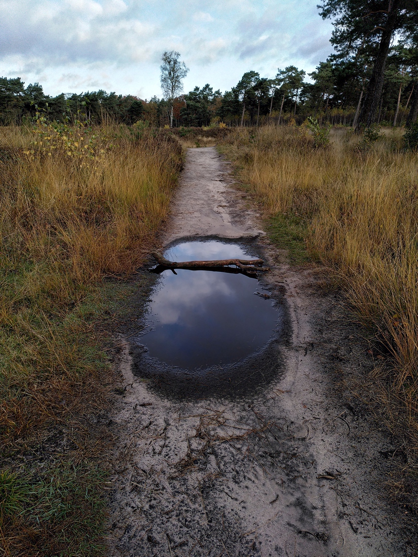 Regenplas, even wachten met zijn allen.