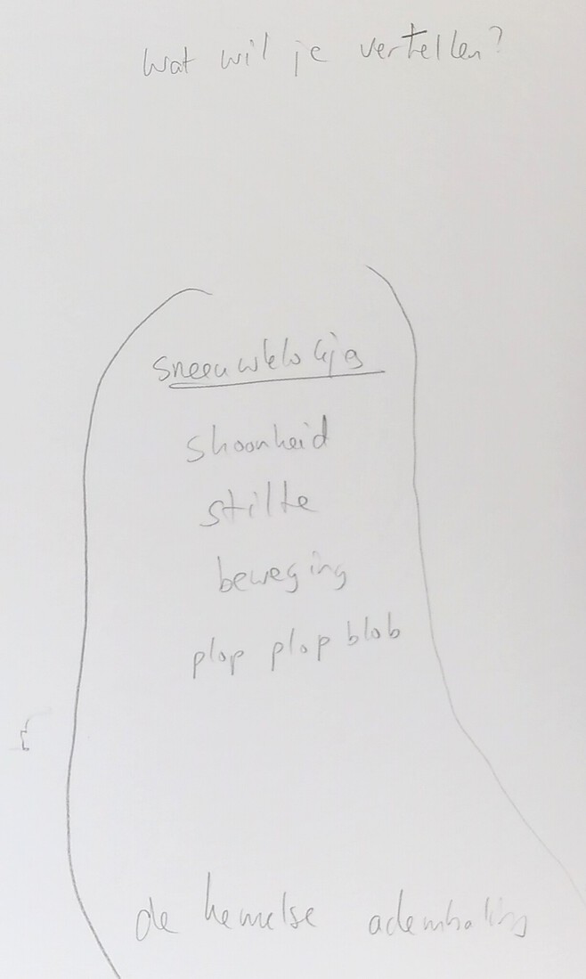 Wat wil ik vertellen?