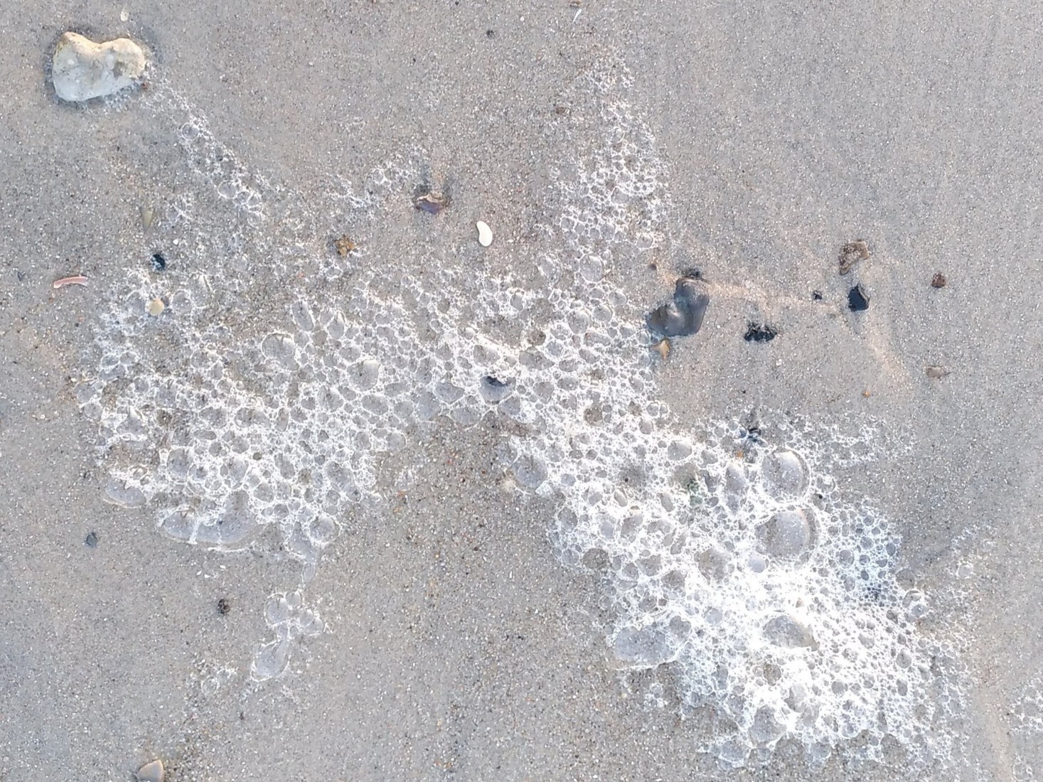 Schuim op het strand 