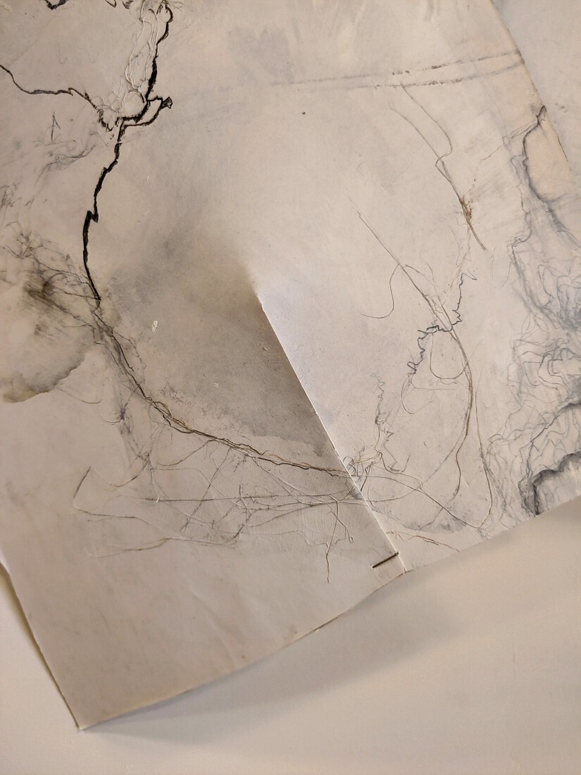 Als het gaat waaien , detail opname 