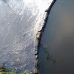 Onderweg zijn en vastleggen in een beeld wat ik ineens zie liggen op de stoep. Al wandelend en dromend langs het strand een nieuw spoor vinden. Kijken en afdrukken en luisteren en ruiken. En terugzien in tekeningen en vouwsels.