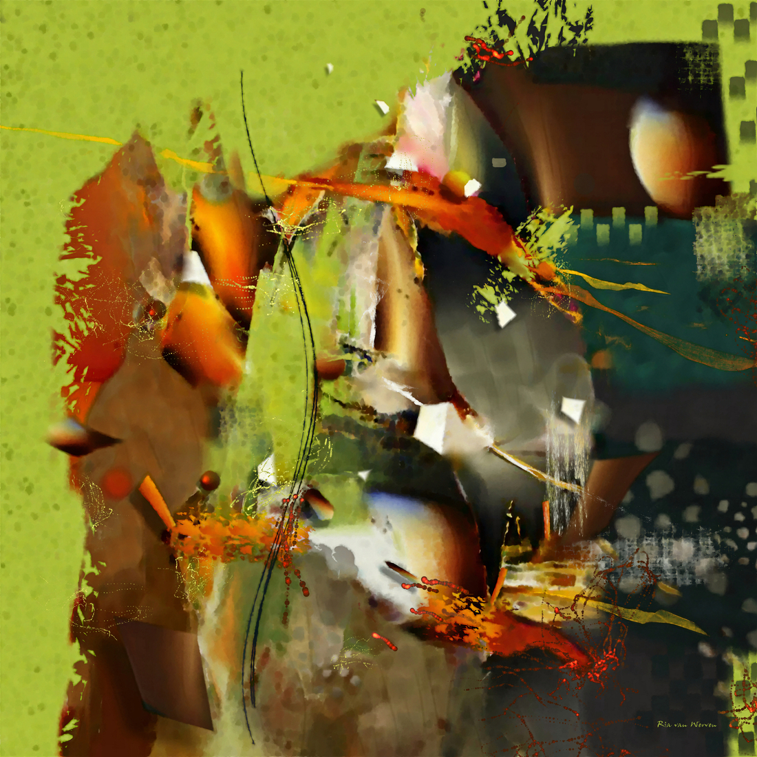 Swamp
