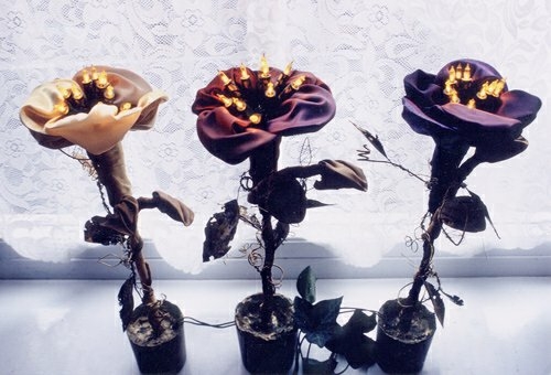 3 bloemlampen in potjes