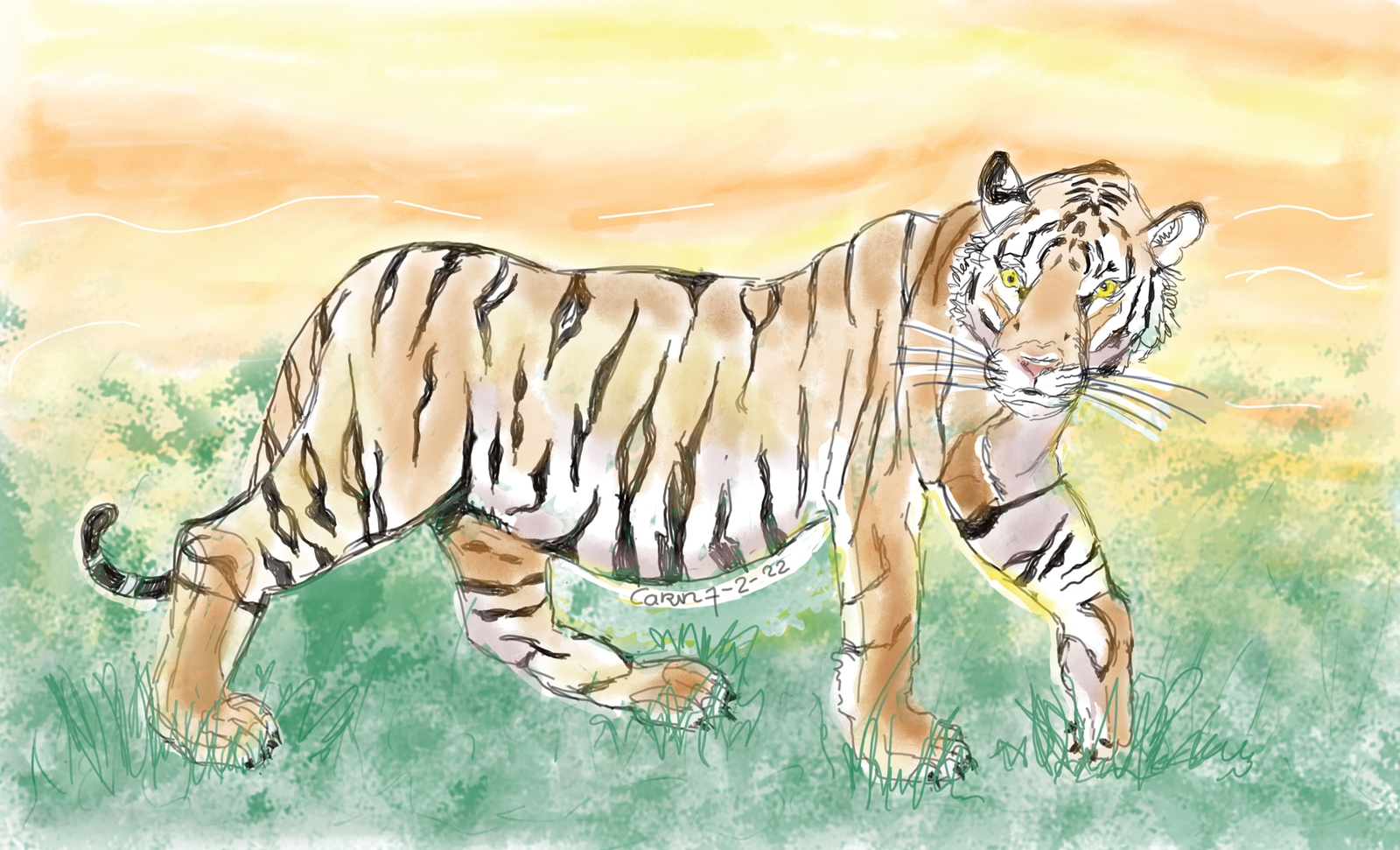 Het jaar van de tijger is begonnen