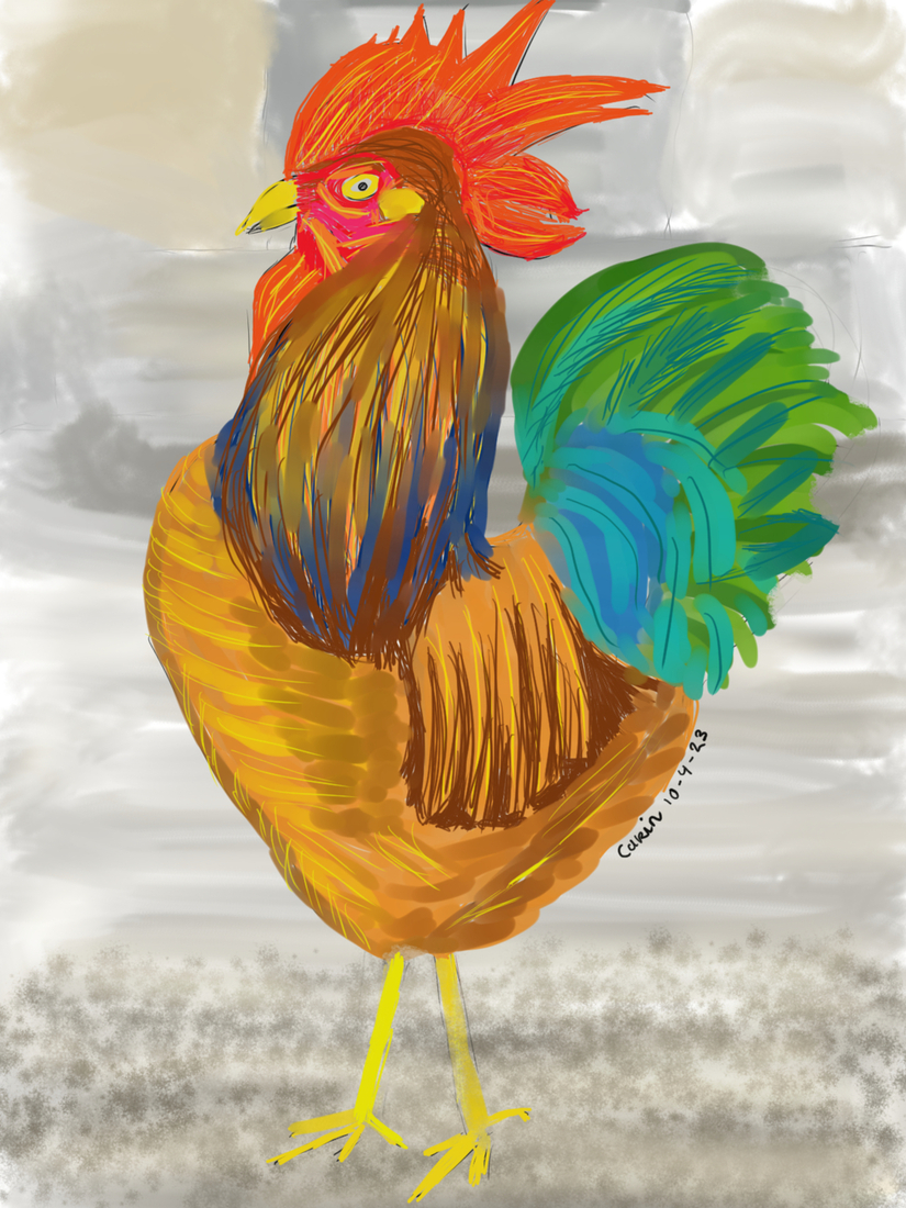 Rooster