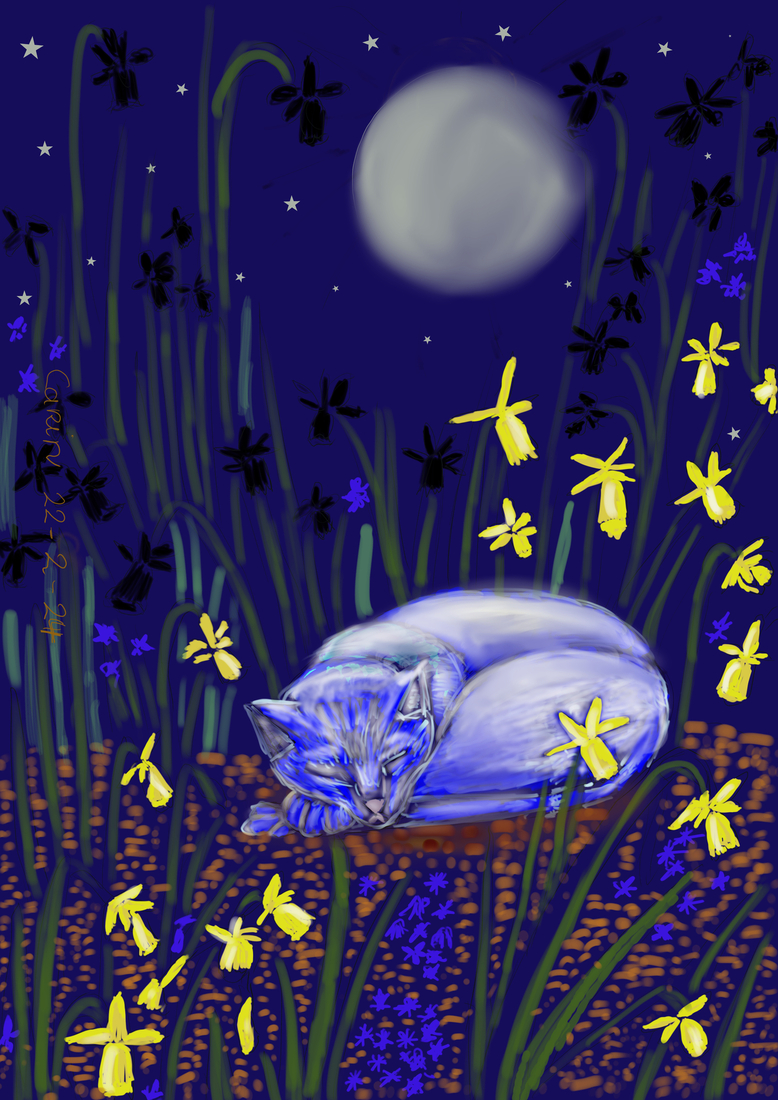 Onze kat sluimerend op een warme lente avond