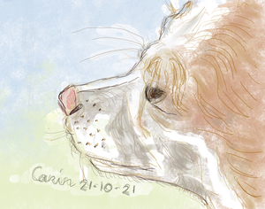 Digitale honden getekend met Sketchbook Pro