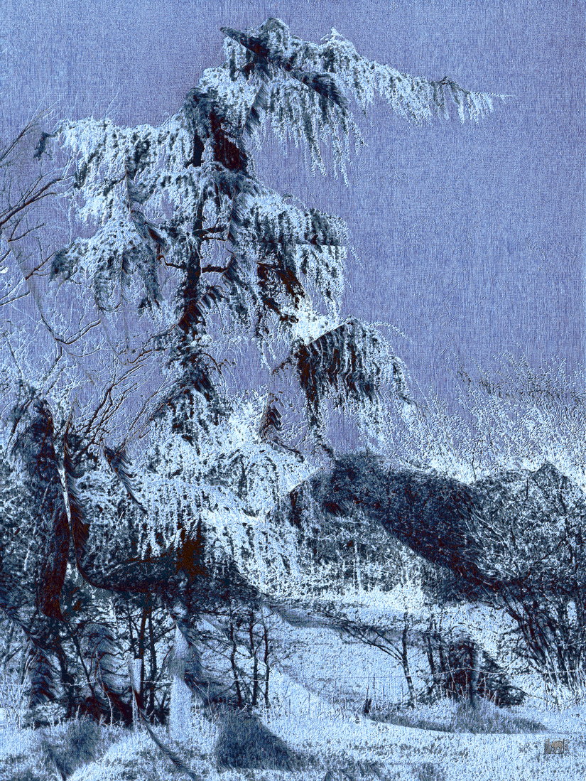 Hallucinerend winterlandschap (d2022)