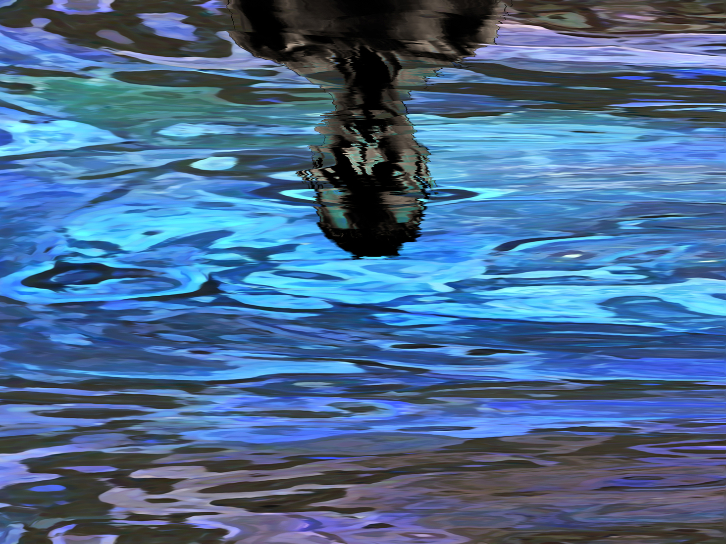 Look at yourself (d5225)