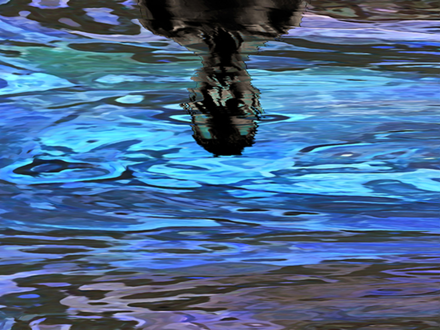 Look at yourself (d5225)