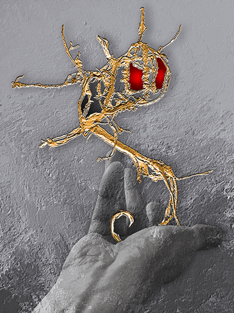 Ongevaarlijk (d3025)