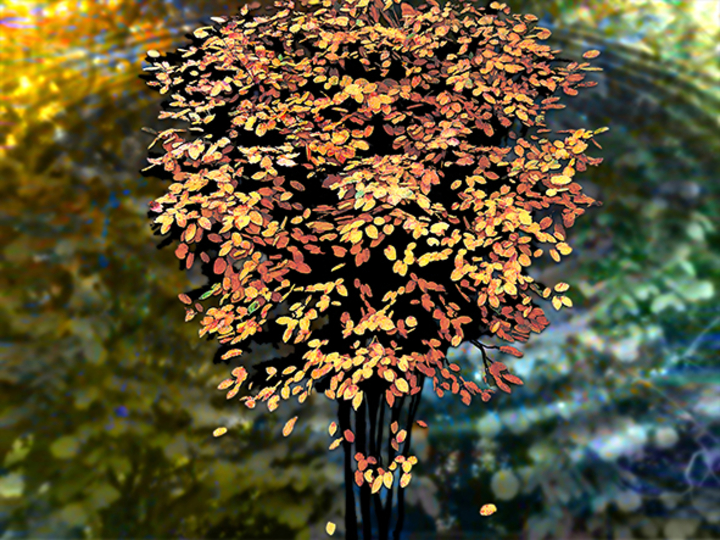 Herfst aan het Water (d2625)