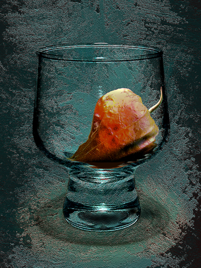 Lampion zaaddoos in glas (d0925)