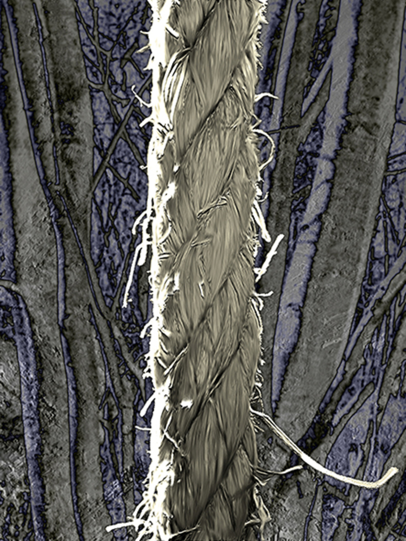 Asjemenou Touw! (d6424)