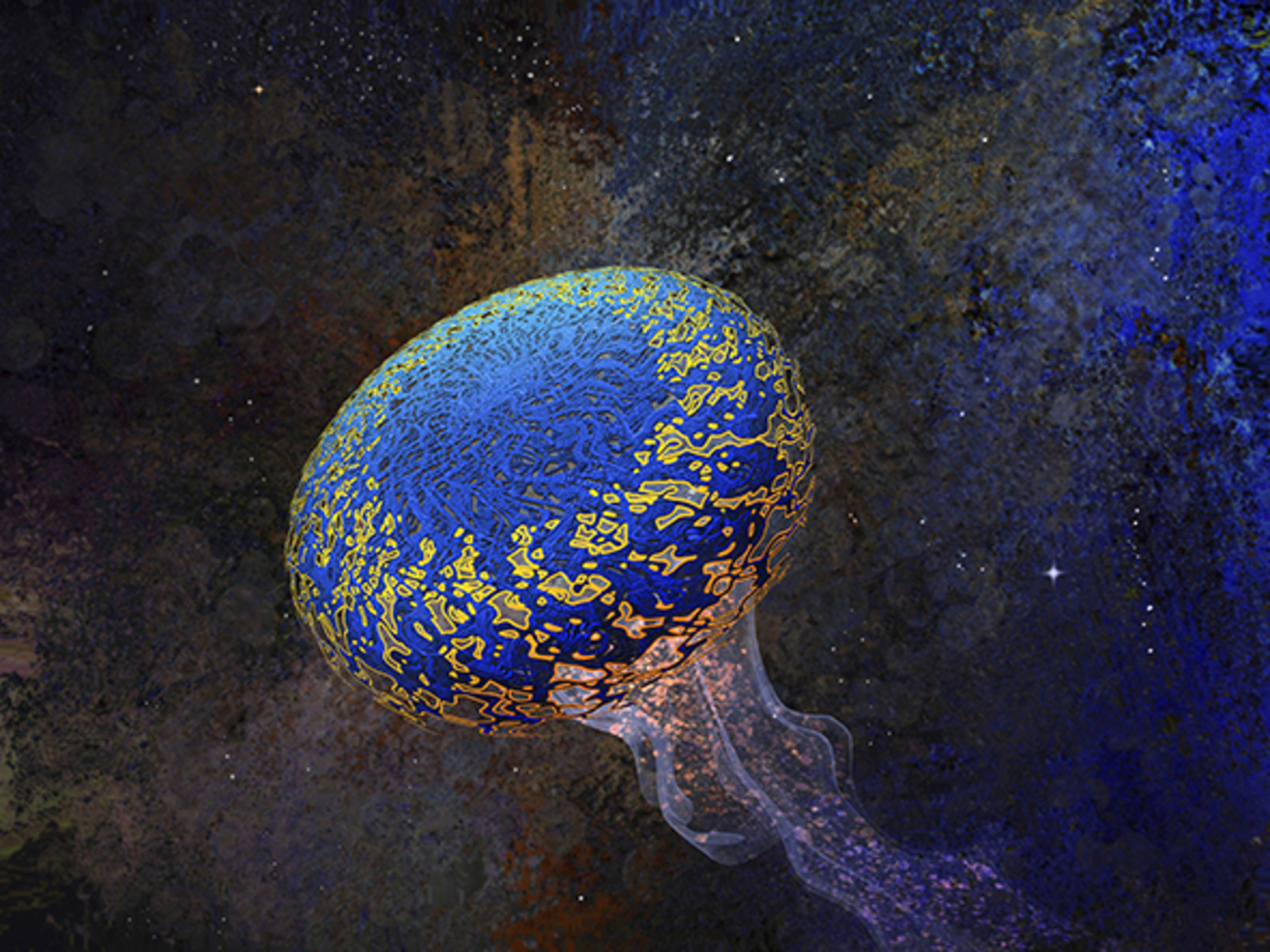 Jellyfish in Space (d6124)