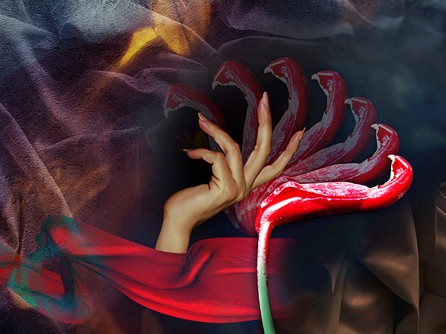 Dancing Anthurium (d2424)