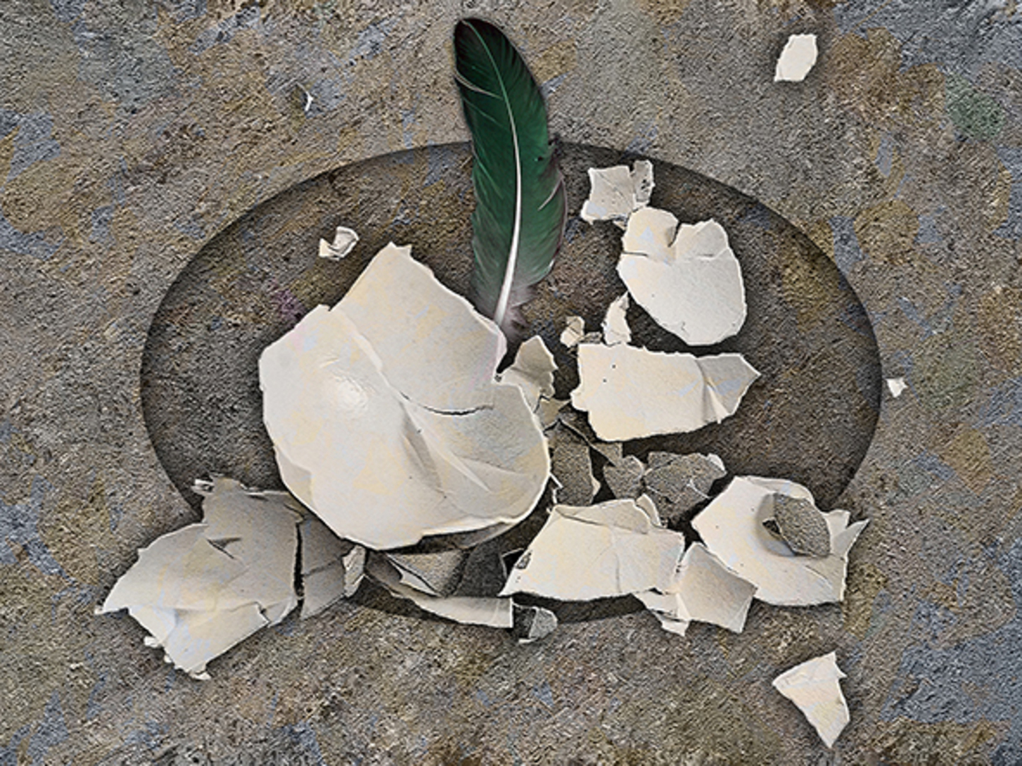 Een veer gelaten  (d0724)