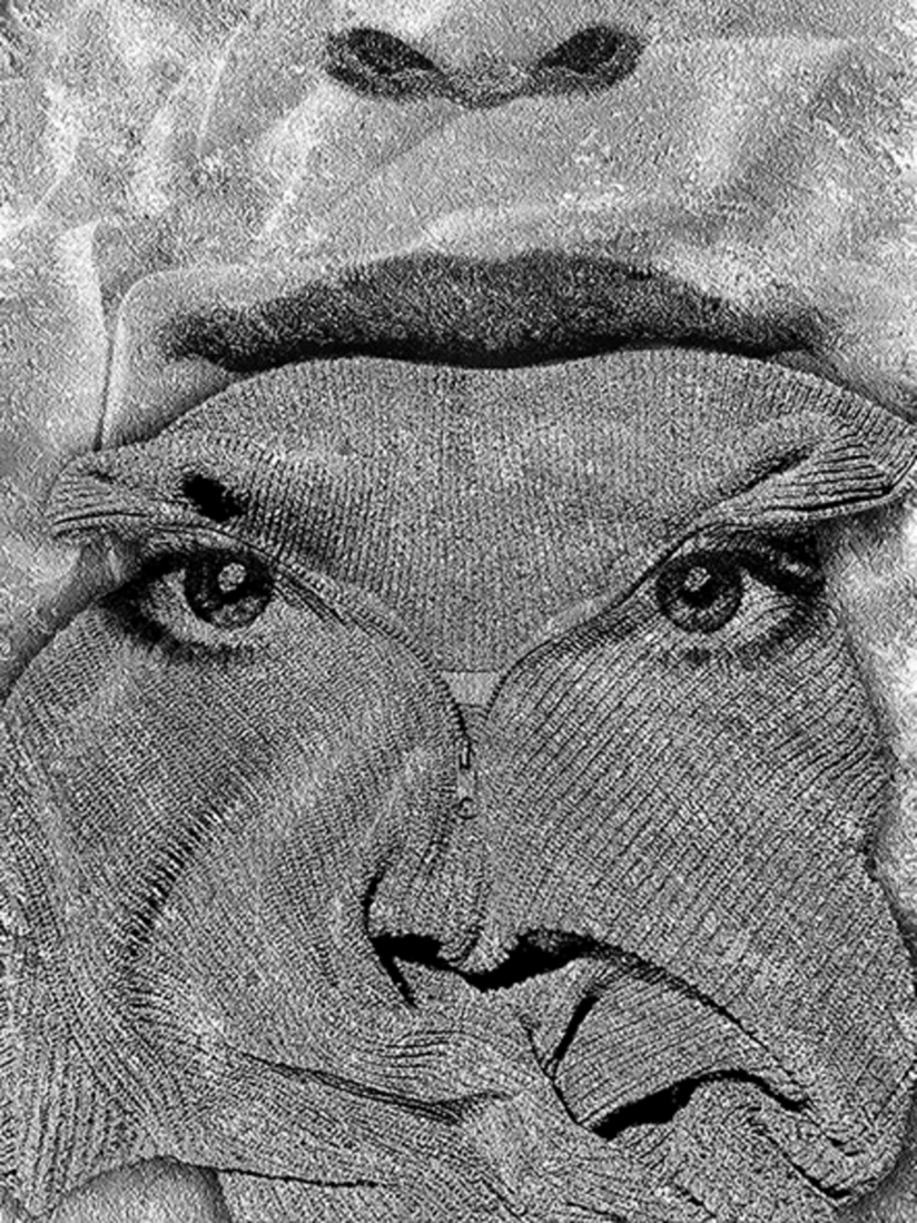 Trui van Trui  (d0424)