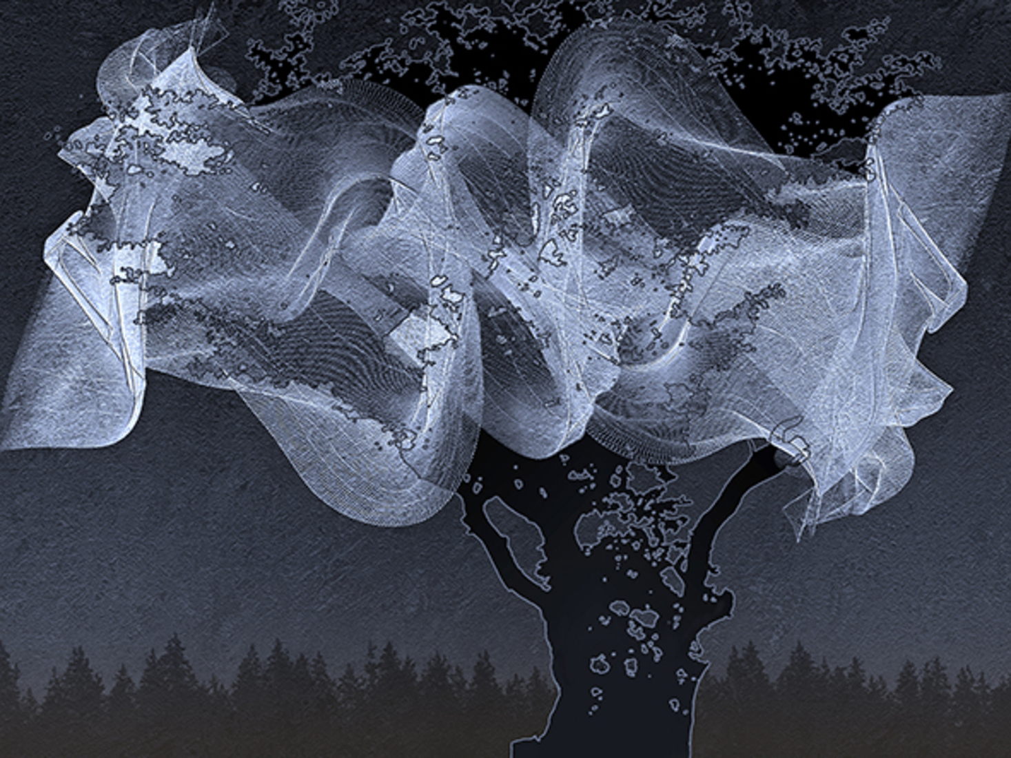 Gesluierde boom (d0224)