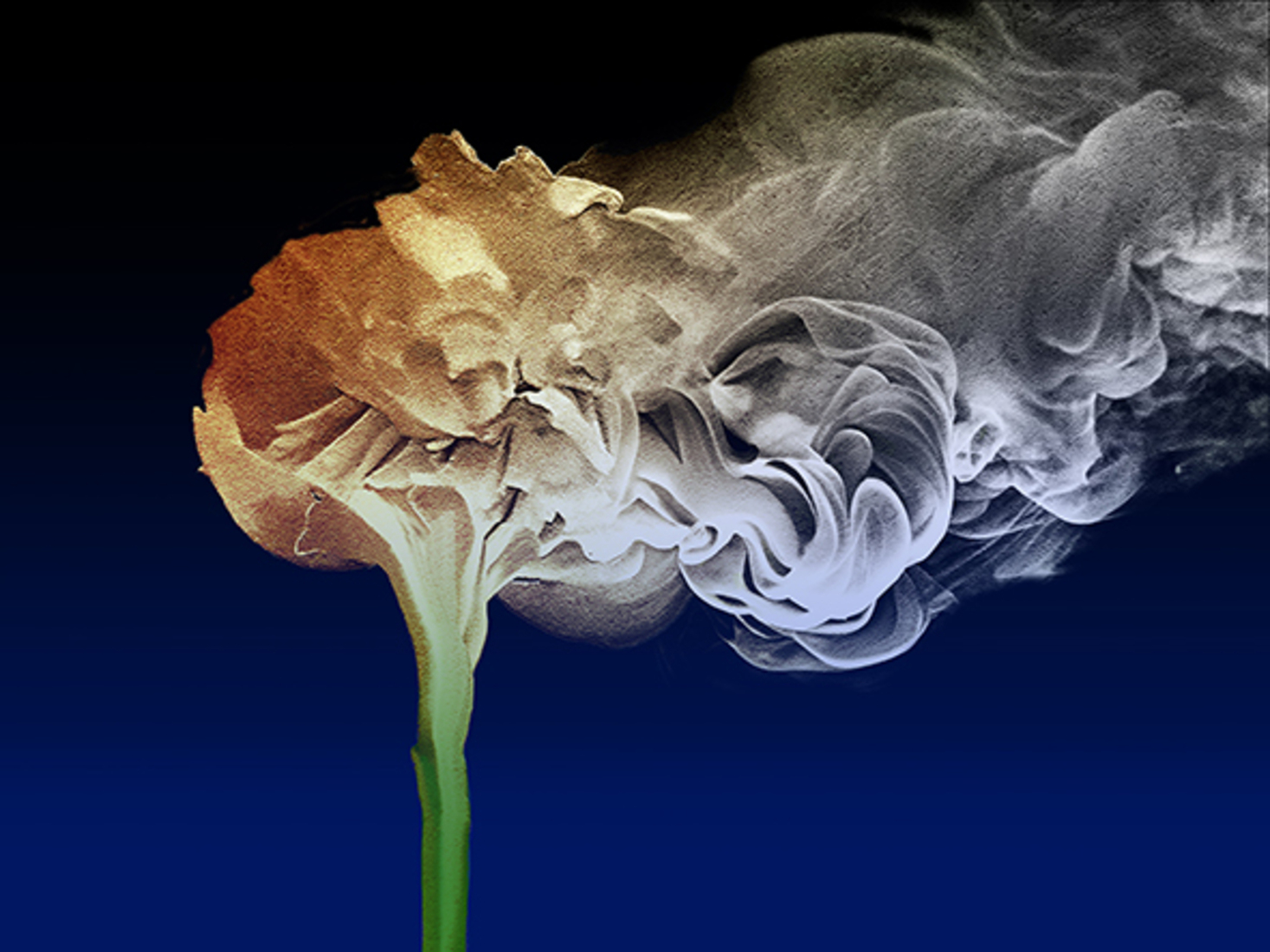 In rook opgaan  (d5623)