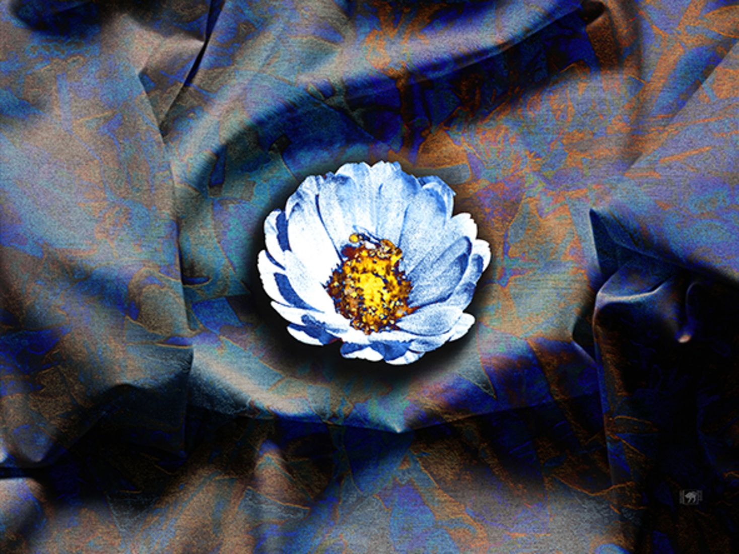 Bloem op doek (d1822)