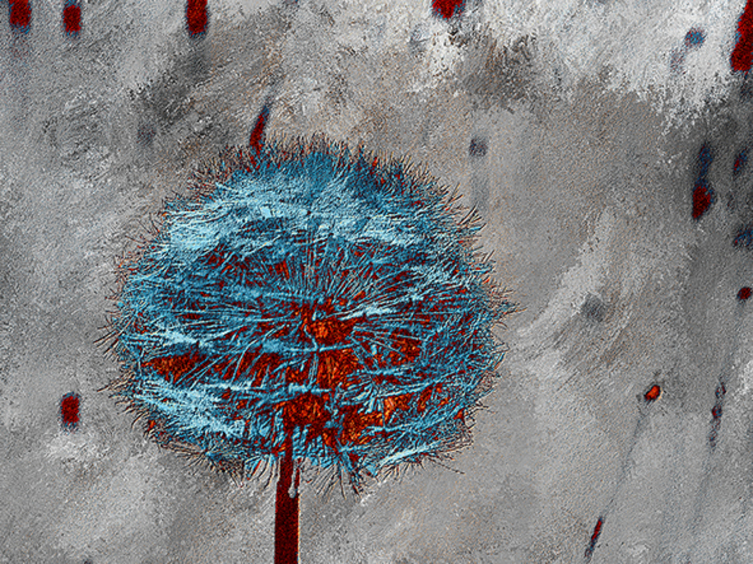 Zaadbol paardenbloem (d6722)