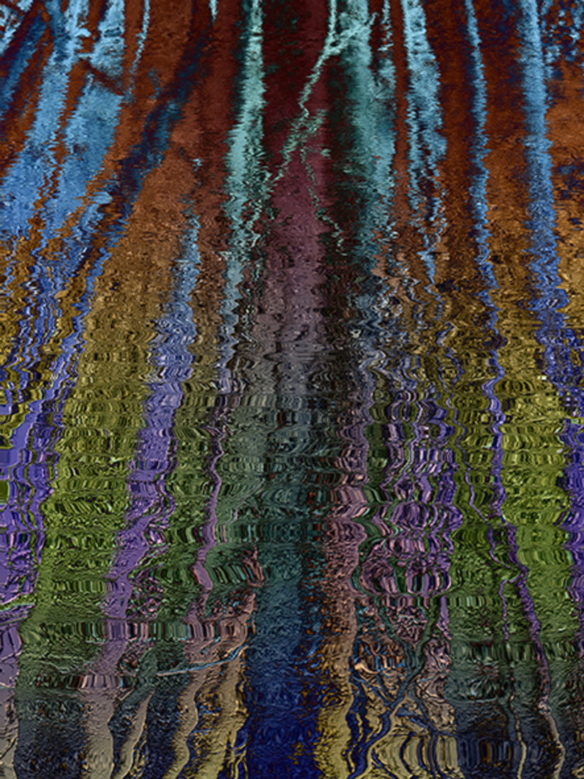 Waterbomen (fdb1821)