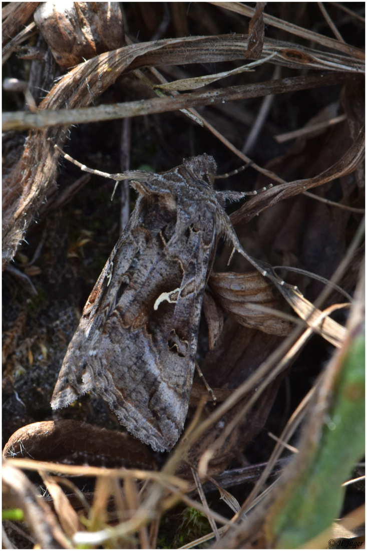 DSC_1382