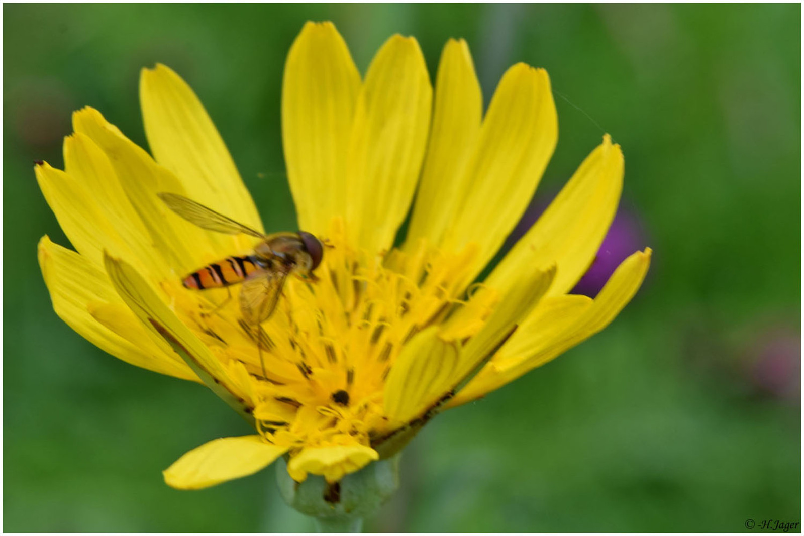DSC_1975