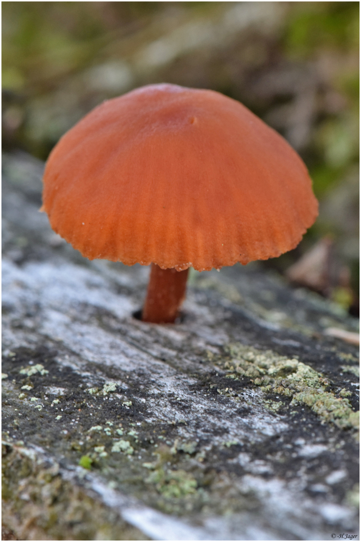 DSC_4460