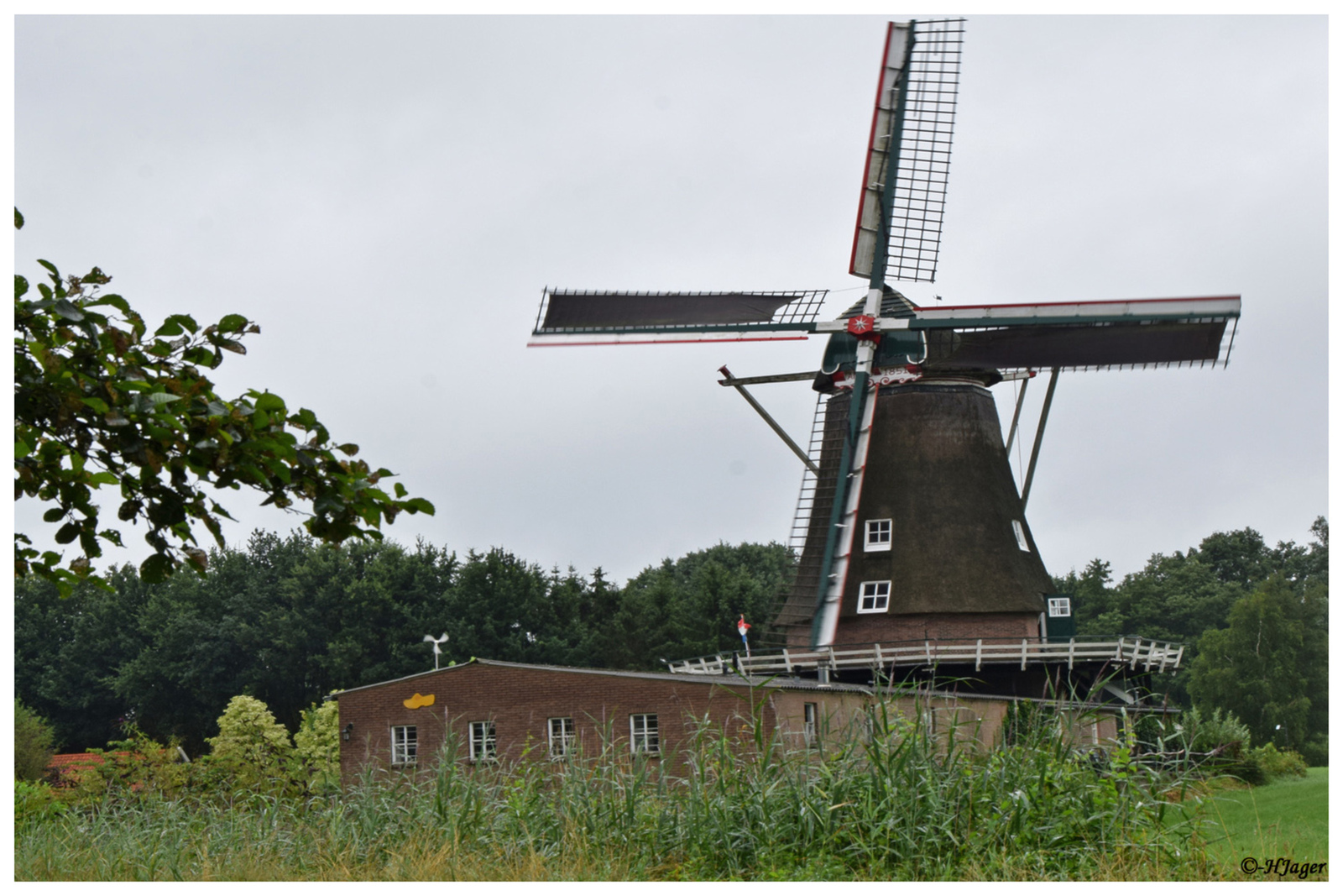 036 - DSC_3716