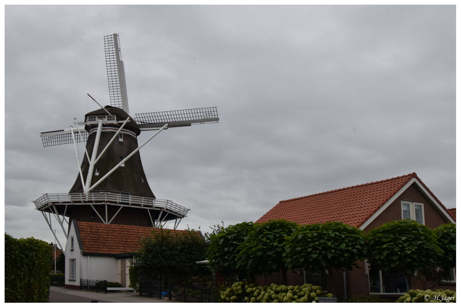 060 - DSC_7550
