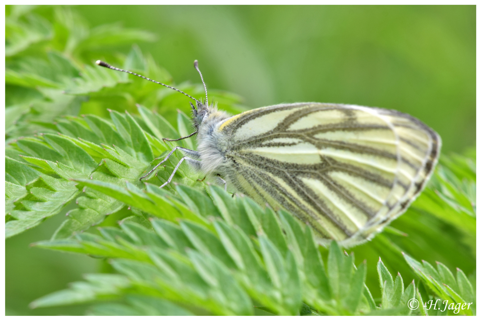 DSC_5555