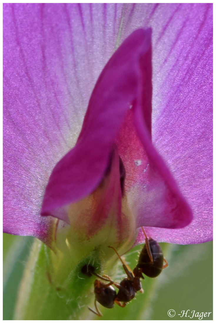 DSC_6388