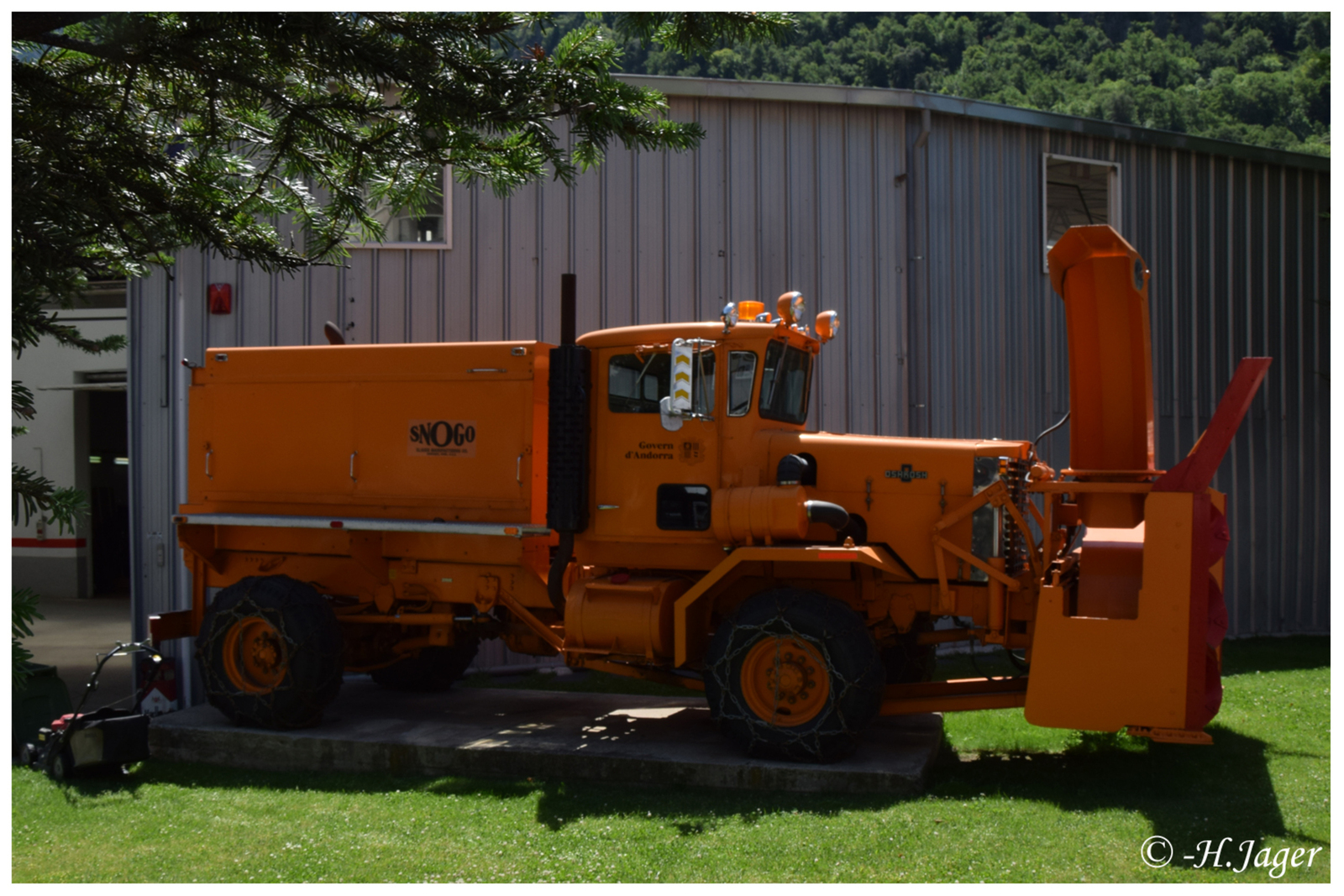 DSC_113