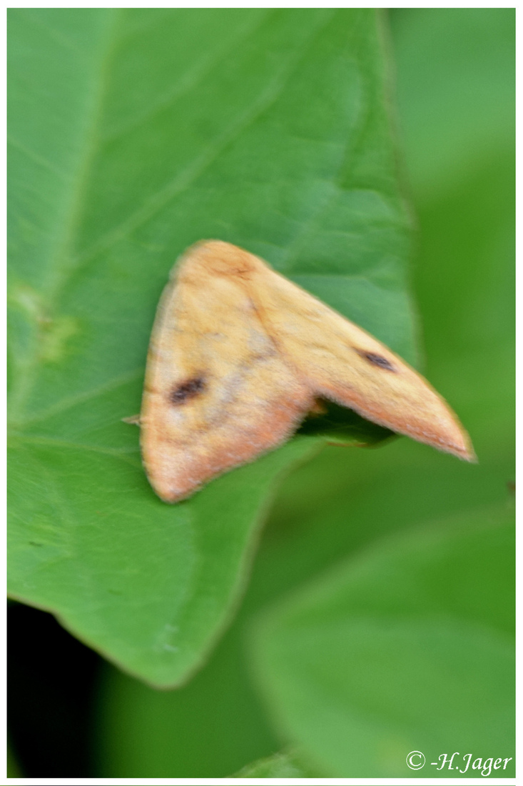 DSC_8943