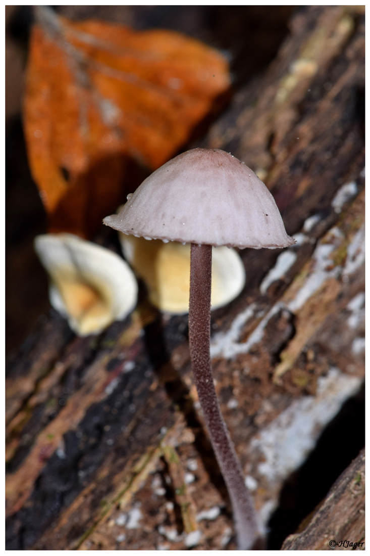 DSC_510